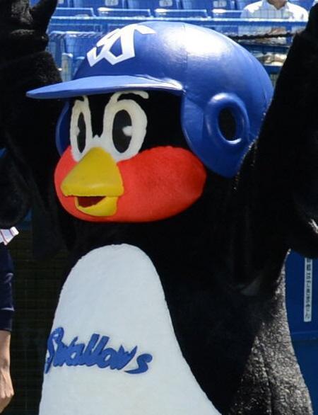 つば九郎 宮本氏からまさかの ペンギン 呼ばわり 野球 デイリースポーツ Online
