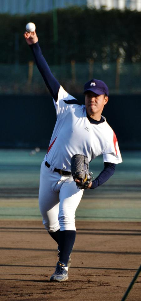 チームの今年初練習でキャッチボールをする明大・柳＝東京都府中市の同大グラウンド