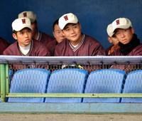 雨が強くなり、ベンチで待機する早実・清宮（中）＝東京・立川公園野球場（撮影・西岡正）