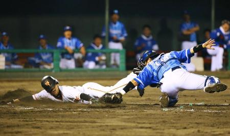 　７回巨人無死三塁、クルーズの右飛で、代走の三走寺内が本塁を狙うがタッチアウト。捕手戸柱＝福島