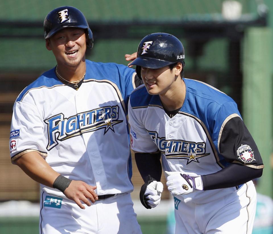 祝50-50達成！日ハムゴルフボール#11 大谷•ダルビッシュ 43732-518-
