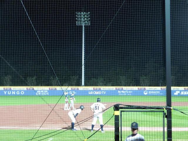 マドンナジャパンに暗転?ハプニング 大倉監督「蛇がからまって」