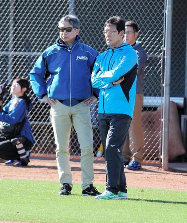 自主トレで選手の動きを見つめる日本ハム・栗山監督（右）と吉村ＧＭ