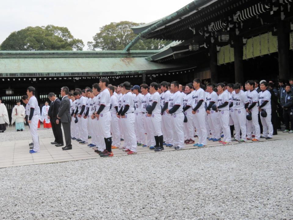 必勝祈願で真中監督、ナインが明治神宮を参拝