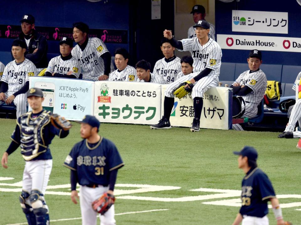 ベンチスタートの阪神・糸井嘉男は、古巣・オリックスのシートノックを見つめる＝京セラドーム大阪（撮影・田中太一）