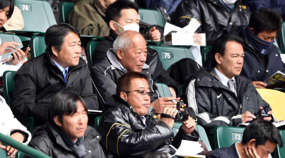 　ネット裏で視察する（左から）阪神・高野球団本部長、佐野統括スカウト、和田ＳＡ。手前左から吉野スカウト、山本スカウト（撮影・山口登）
