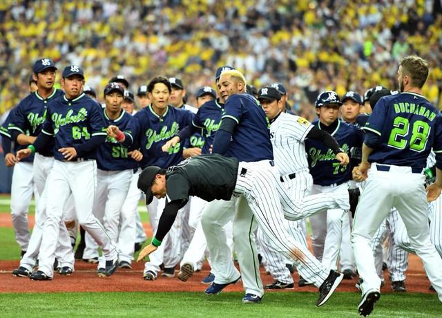 阪神戦の乱闘騒動 ヤクルトがｎｐｂへ意見書提出 野球 デイリースポーツ Online