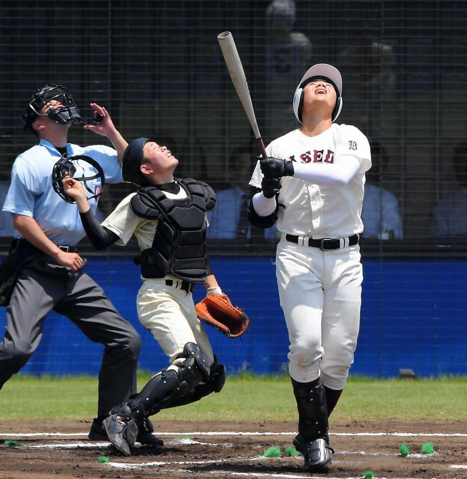 ６回、捕邪飛に倒れた早実・清宮＝ひたちなか市民球場（撮影・堀内翔）