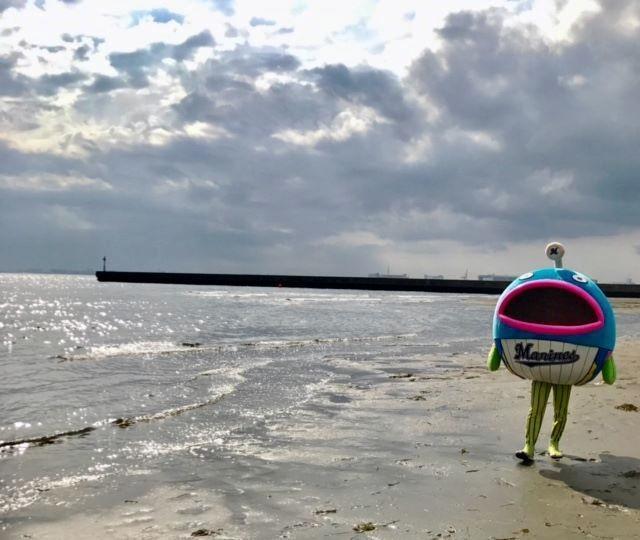 ロッテ・謎の魚が幕張浜に再上陸