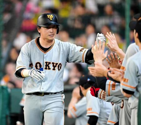 ３回巨人無死、ソロを放ち、ナインとタッチを交わす巨人・長野久義＝甲子園（撮影・高部洋祐）