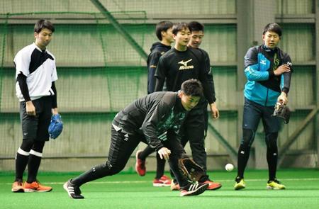 　ノックを受ける清宮（手前）ら新人選手たち