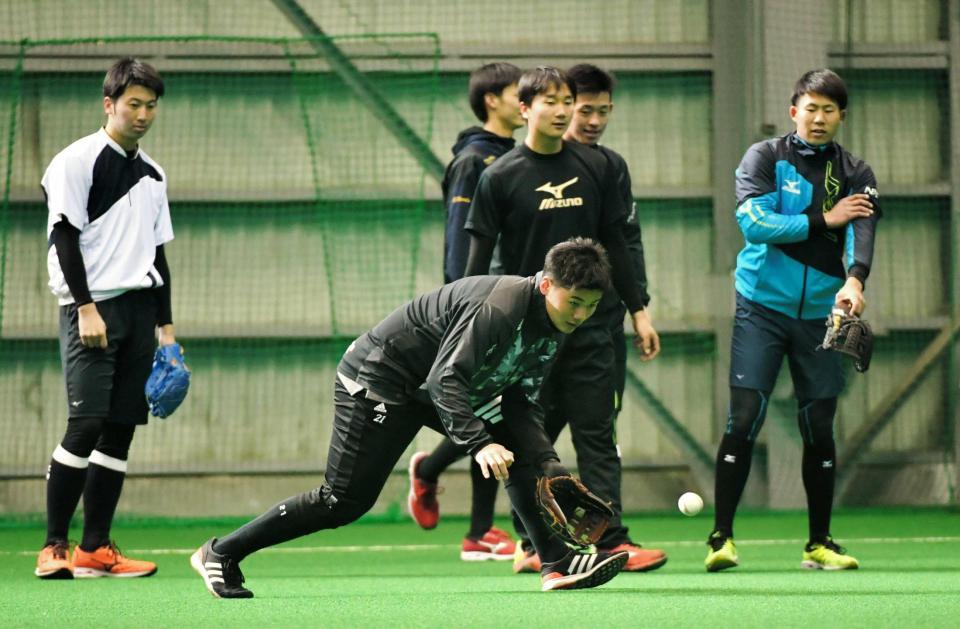 　ノックを受ける清宮（手前）ら新人選手たち