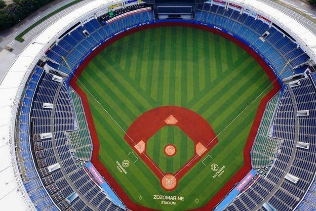 ｚｏｚｏマリン 人工芝張り替えが完了 野球専用人工芝で照り返しも低減 野球 デイリースポーツ Online