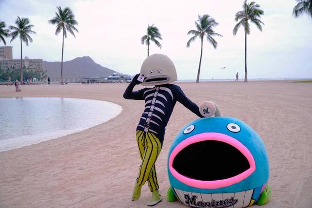 ロッテ 謎の魚がハワイでスポンサー契約ゲット 野球 デイリースポーツ Online