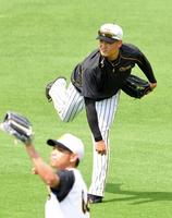 キャッチボールで調整する阪神・秋山＝甲子園（撮影・高部洋祐）