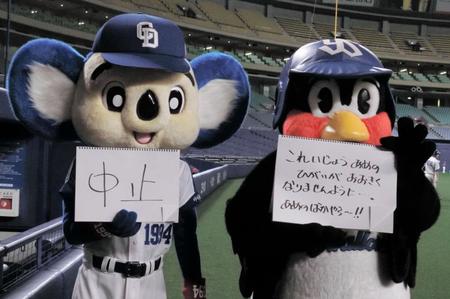 大雨被害が拡大しないことを願う、つば九郎（右）と試合の中止を伝えるドアラ＝ナゴヤドーム