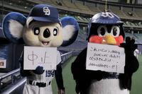 大雨被害が拡大しないことを願う、つば九郎（右）と試合の中止を伝えるドアラ＝ナゴヤドーム