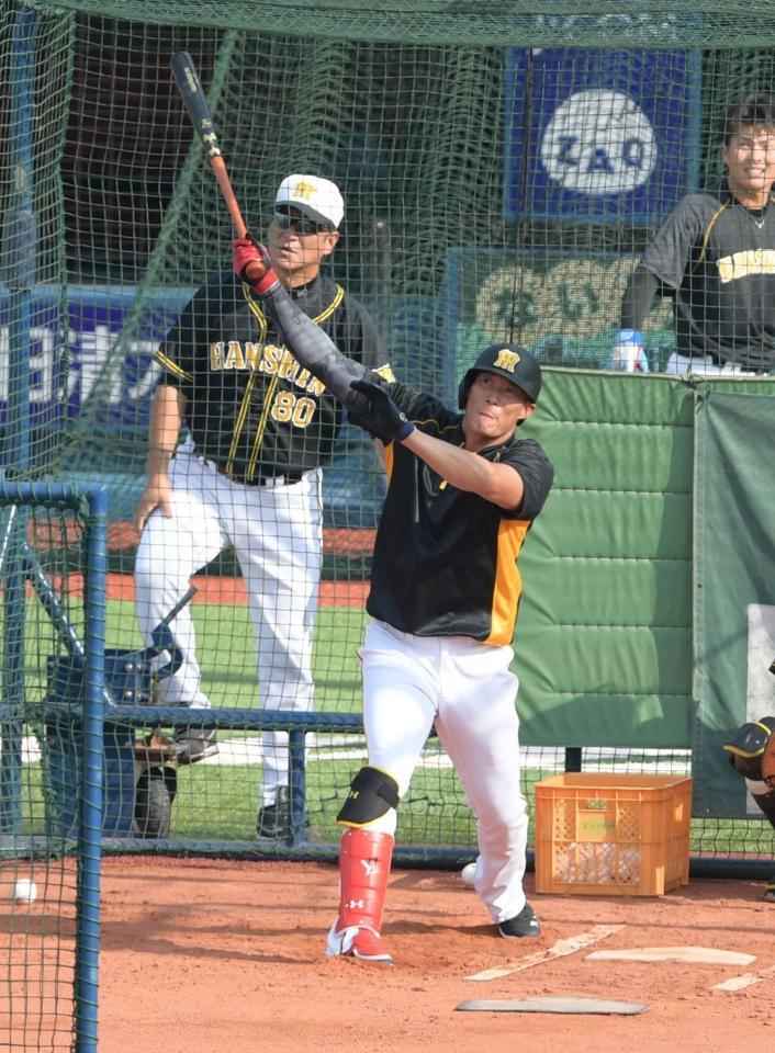 １軍に合流した阪神・糸井＝横浜スタジアム（撮影・金田祐二）