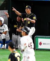 ４回、巨人・大城（手前）の打球にリプレー検証を要求する金本監督＝東京ドーム（撮影・堀内翔）