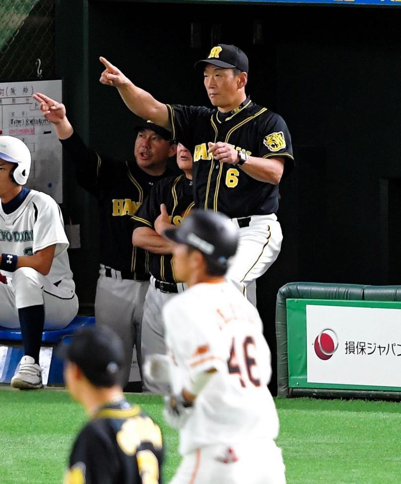 ４回、巨人・大城（手前）の打球にリプレー検証を要求する金本監督＝東京ドーム（撮影・堀内翔）