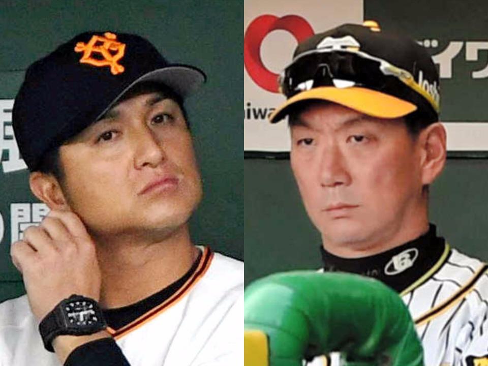 巨人・高橋監督と阪神・金本監督