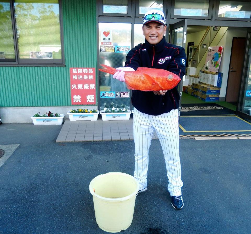 勝浦沖で獲れた金目鯛を両手に「大物だね」と笑う井口監督。この赤はひょっとして…。