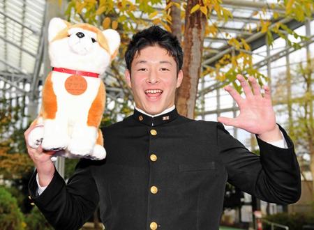 　秋田犬のマサル人形を手に笑顔でポーズを決める日本ハム・ドラ１吉田