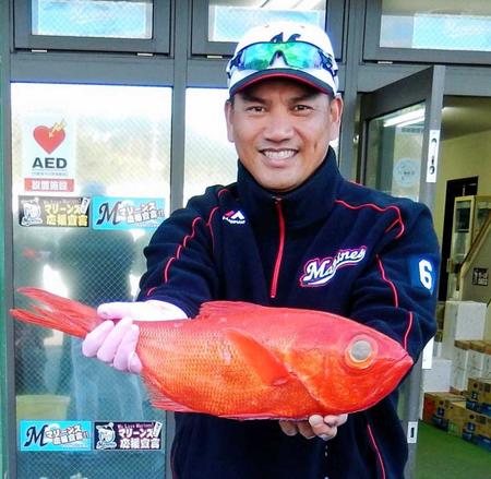 　勝浦沖で獲れた金目鯛を両手に「大物だね」と笑う井口監督。この赤はひょっとして…。