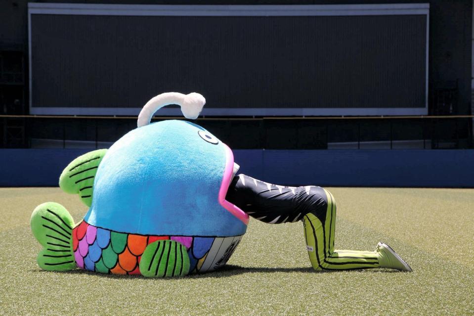 レアード急襲に備えて隠れる「謎の魚」