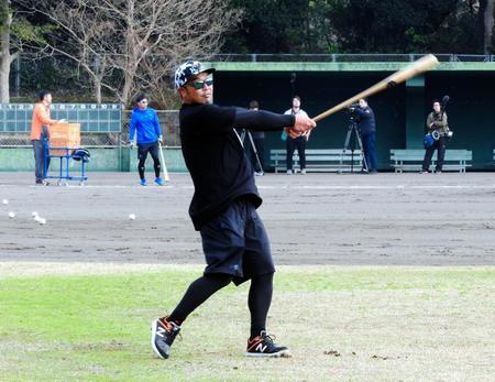 外野陣にノックを打つ阿部＝宮崎市内