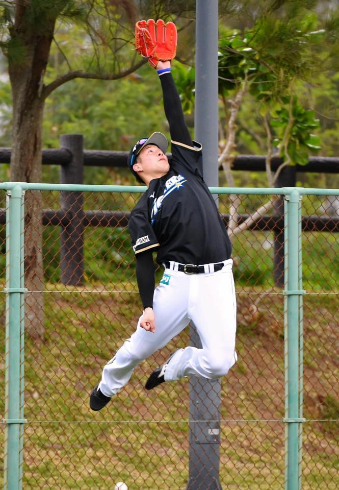 日本ハムファイターズ 吉田輝星 直筆サインボール カード ウルトラプロ