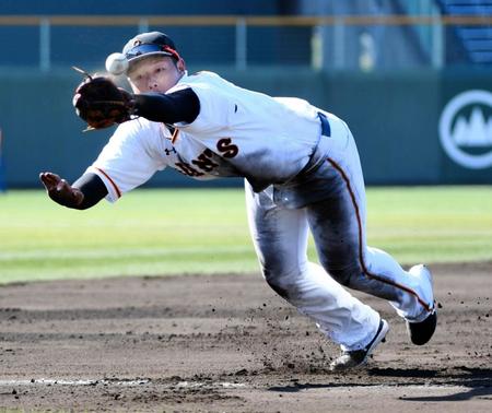 　ノックの打球に飛びつく巨人・岡本和真＝ＫＩＲＩＳＨＩＭＡヤマザクラ宮崎県総合運動公園