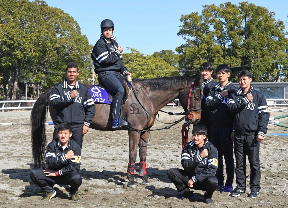 乗馬体験を終え「奪Ｓｈ！」ポーズをとる（前列左から時計回りに）野村、水谷、甲斐野、杉山、泉、奥村、板東