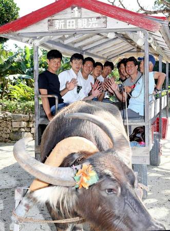 　休日に竹富島を訪れ、水牛車を体験した藤原（左端）ら