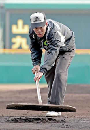 　試合後、グラウンド整備をする大分高ＯＢの阪神園芸・野崎颯さん