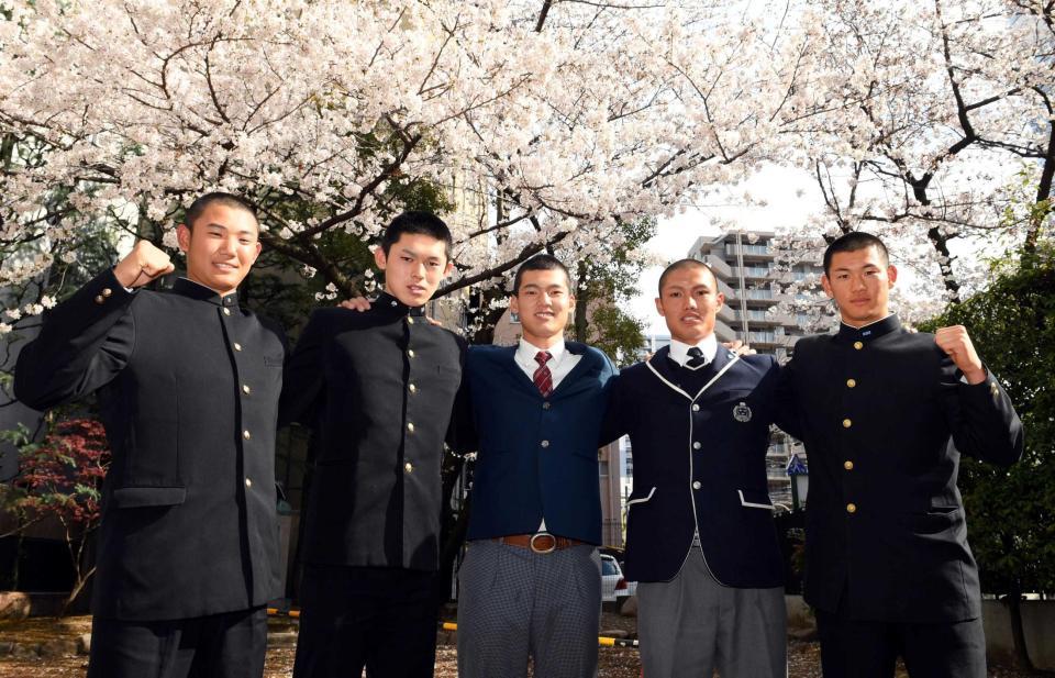 　満開の桜の下でポーズを決める（左から）星稜・奥川、大船渡・佐々木、東邦・石川、創志学園・西、横浜・及川