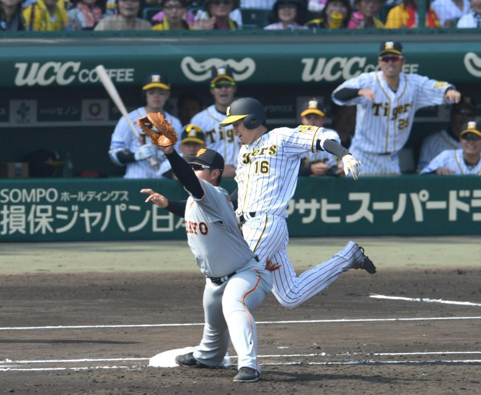 ３回阪神１死、阪神・西勇輝は右前ゴロに倒れる（野手　巨人・岡本和真）＝甲子園（撮影・山口登）