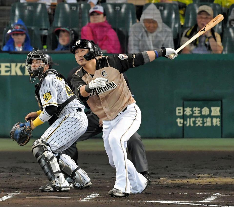 世界に7枚　中田翔　日ハム 世界に7枚 中田翔 日ハム