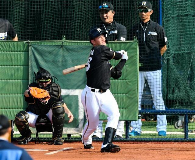 打者として…吉田輝星がフリー打撃　柵越えゼロで「今日は残念」ＤＨない中日戦見据え