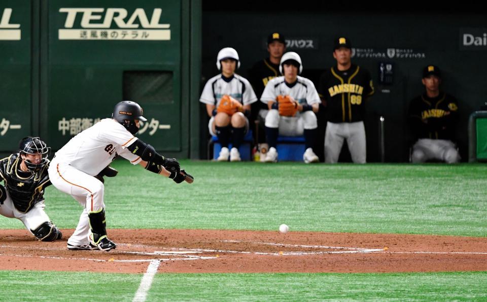 ６回巨人２死三塁、スクイズを決める巨人・丸佳浩＝東京ドーム（撮影・西岡正）