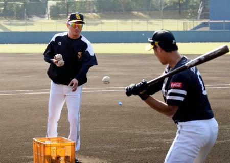 ソフトＢ、平石新コーチが合流秋季キャンプ、特打で指導