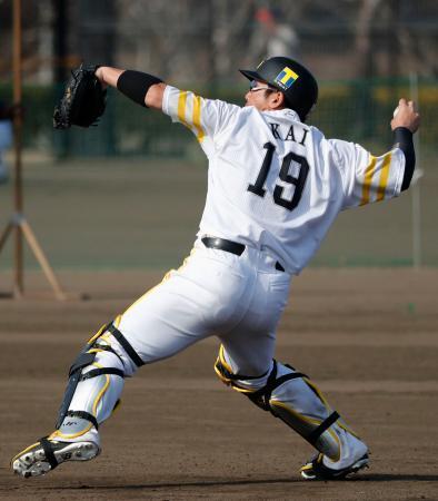 　野村克也さんが現役時代に付けた背番号１９を背負い練習するソフトバンク・甲斐＝宮崎