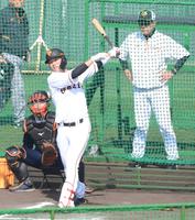 原監督の前で打撃練習する巨人・坂本勇人＝宮崎（撮影・金田祐二）