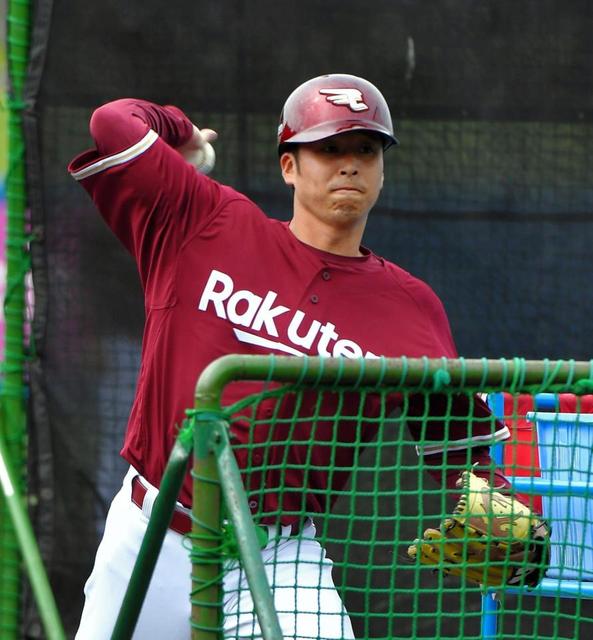 野球 東北楽天イーグルス 応援ヘルメット 軟式 左 オーセン風 犬鷲