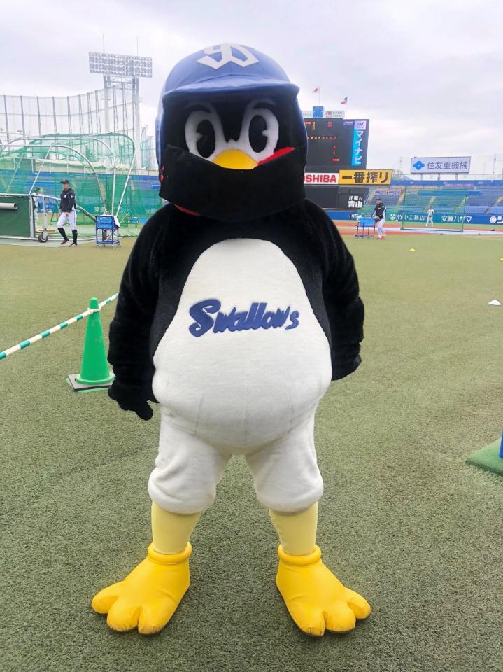 ヤクルト つば九郎が黒マスク姿で球場入り 本拠地初戦で新型コロナ対策 野球 デイリースポーツ Online