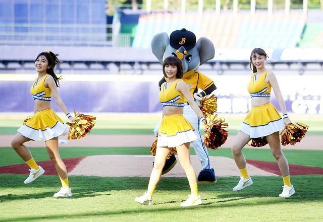 ＮＰＢ　台湾野球参考も「使えるもの少ない」両球界事情、感染状況に隔たり