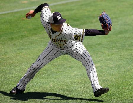 　調整する阪神・青柳＝甲子園