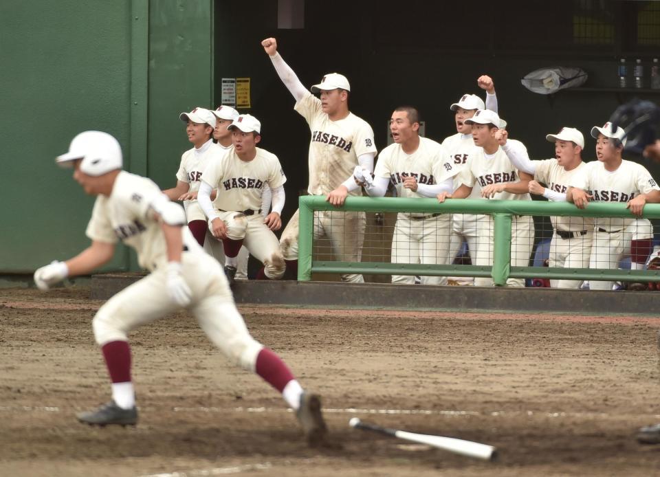 　９回、清水（手前）の同点適時打に湧く清宮（中央）ら早実ベンチ（撮影・伊藤笙子）