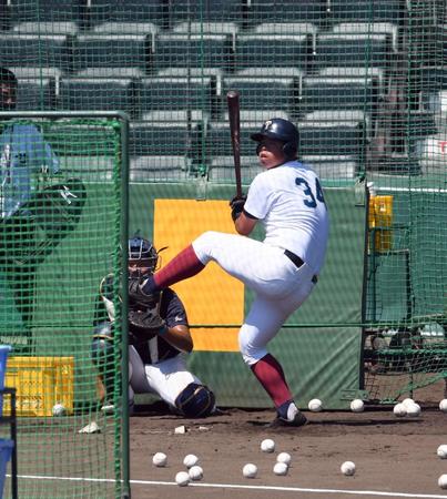 打撃練習する大阪桐蔭・西野力矢＝甲子園（撮影・山口登）