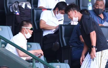 　スタンドで元阪神・今成亮太氏（右）と話すソフトバンク球団会長付特別アドバイザー・城島健司氏（撮影・北村雅宏）